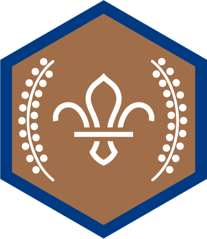 Chief Scout's Bronze Award