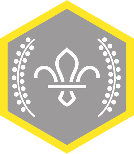 Chief Scout's Silver Award