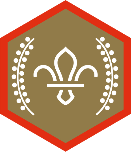 Chief Scout's Gold Award