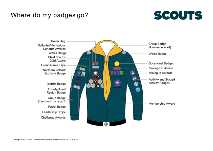 Scouts Uniform