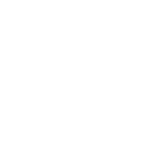 Scouts Logo